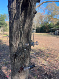 6 Call Duck Call Lanyard